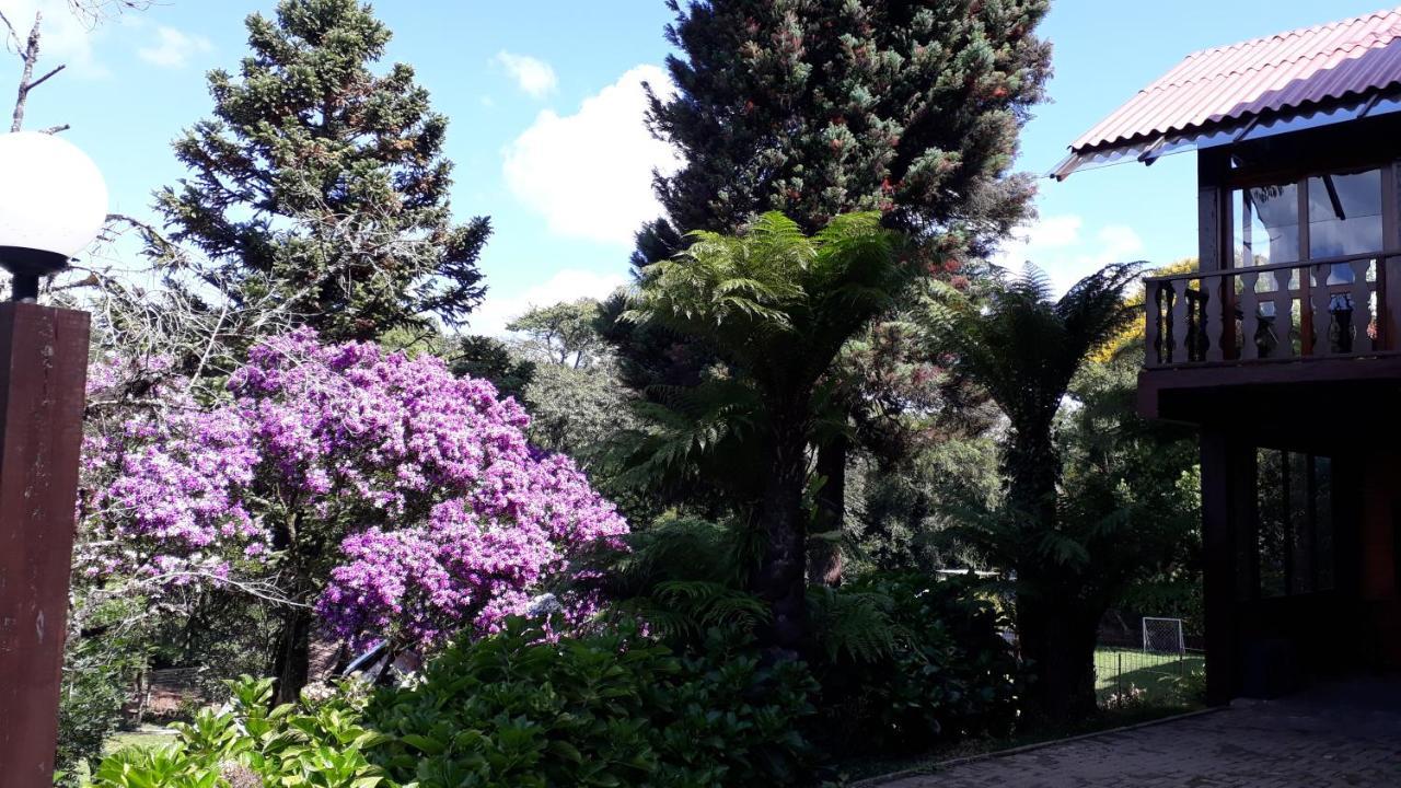 Willa Casa Nobre Gramado Zewnętrze zdjęcie