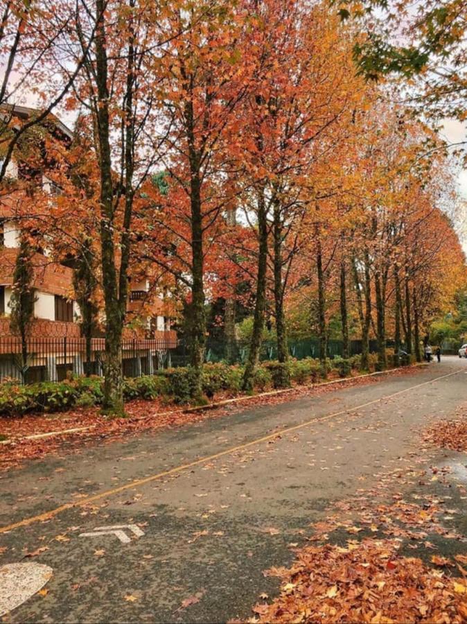 Willa Casa Nobre Gramado Zewnętrze zdjęcie